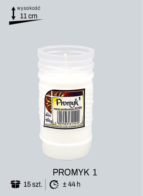 PROMYK 1
